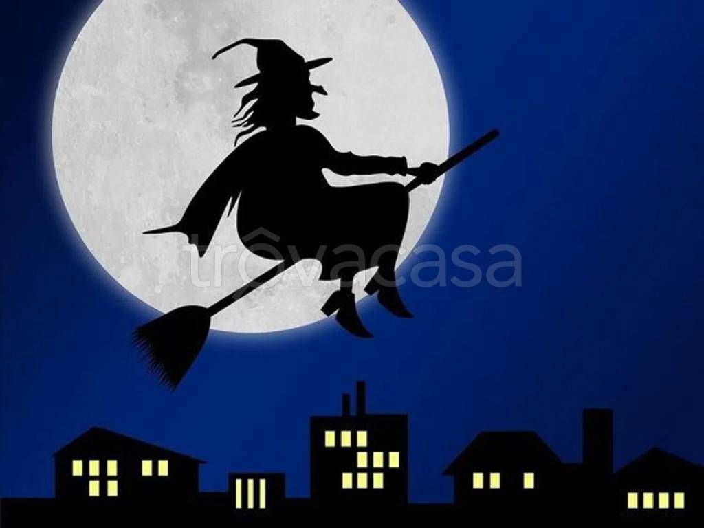 immagine annuncio 6 di 8