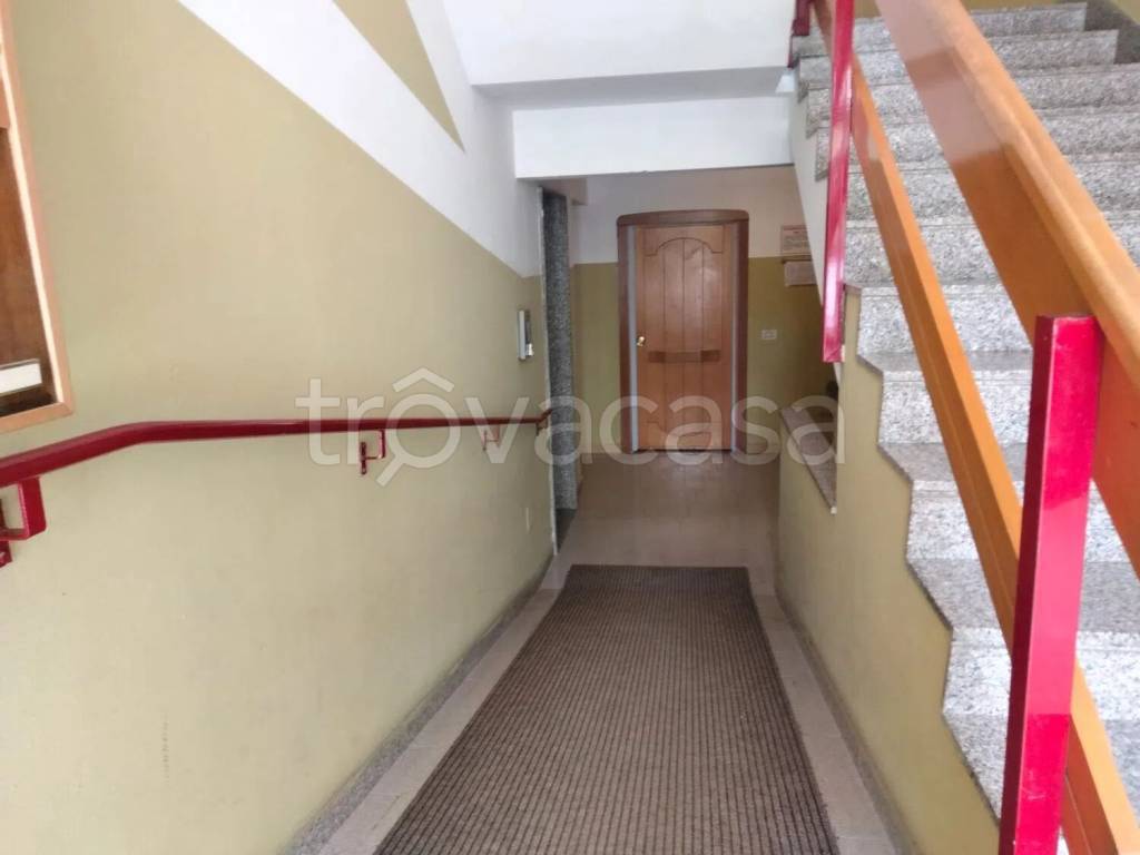 immagine annuncio 12 di 14