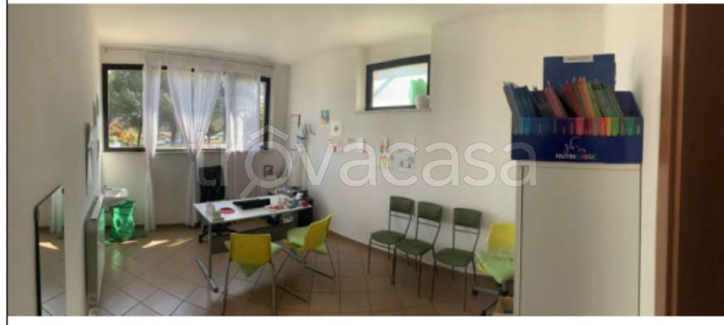 immagine annuncio 5 di 12