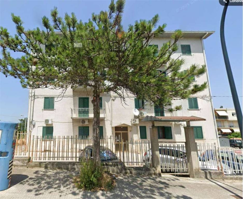 immagine annuncio 4 di 14
