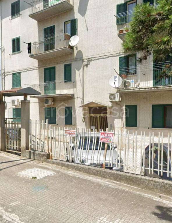 immagine annuncio 7 di 14