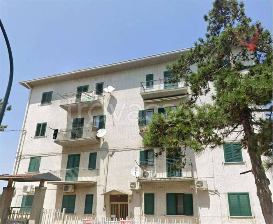 immagine annuncio 8 di 14
