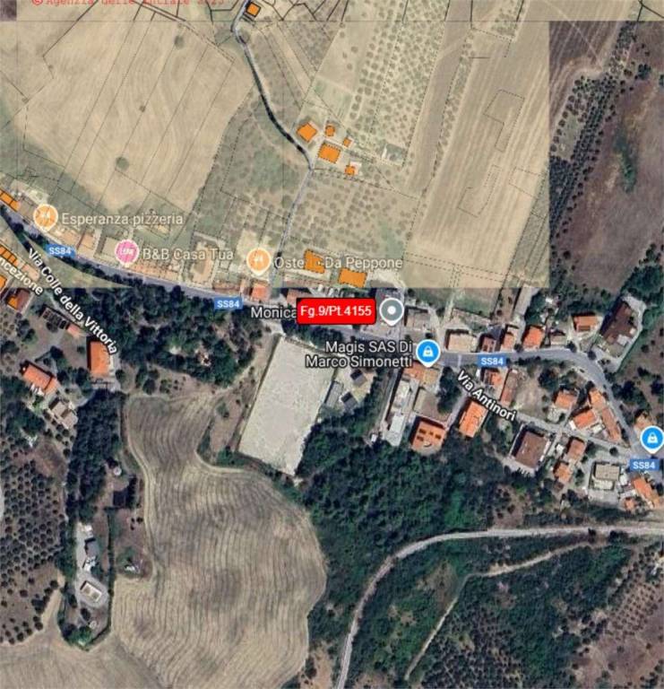 immagine annuncio 10 di 14