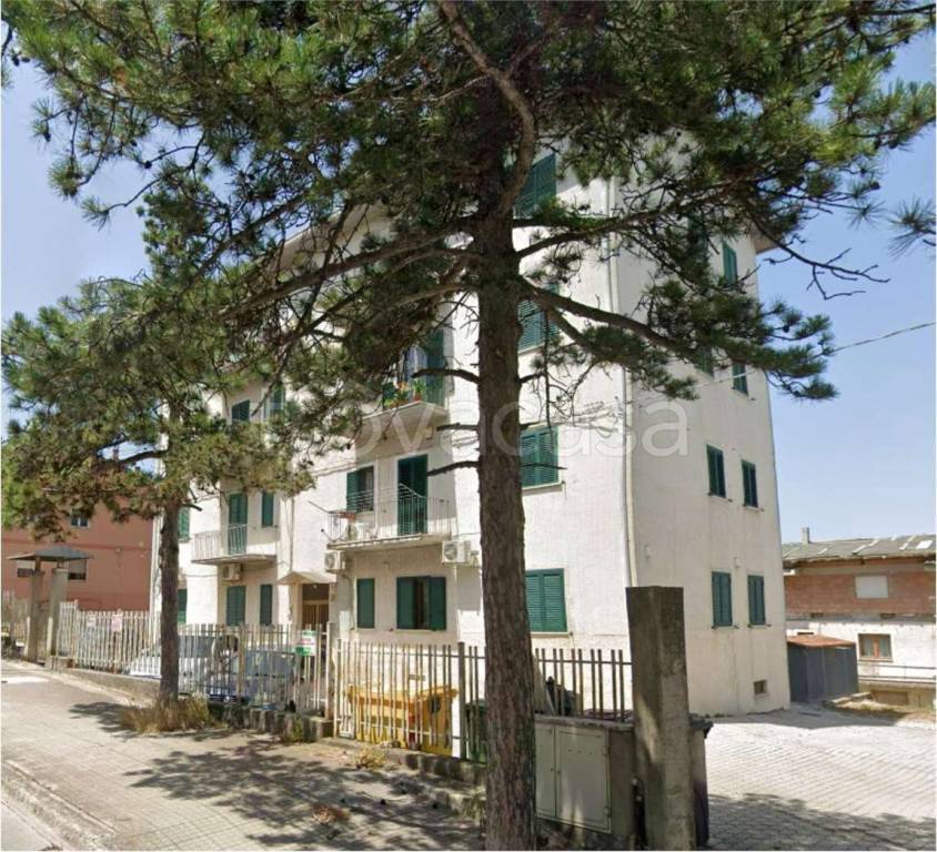 immagine annuncio 12 di 14