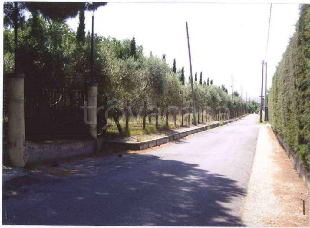 immagine annuncio 8 di 11