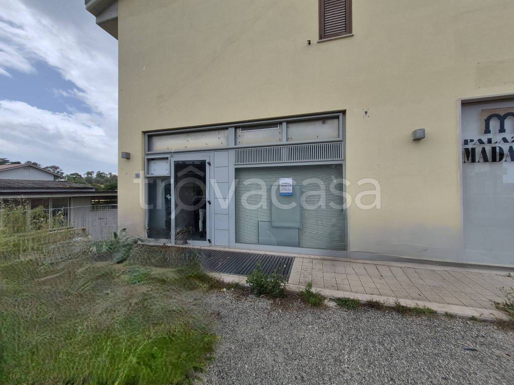 immagine annuncio 2 di 7