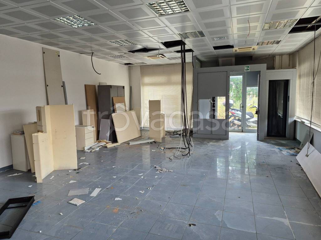 immagine annuncio 4 di 7