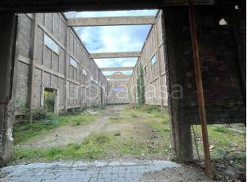 immagine annuncio 4 di 6