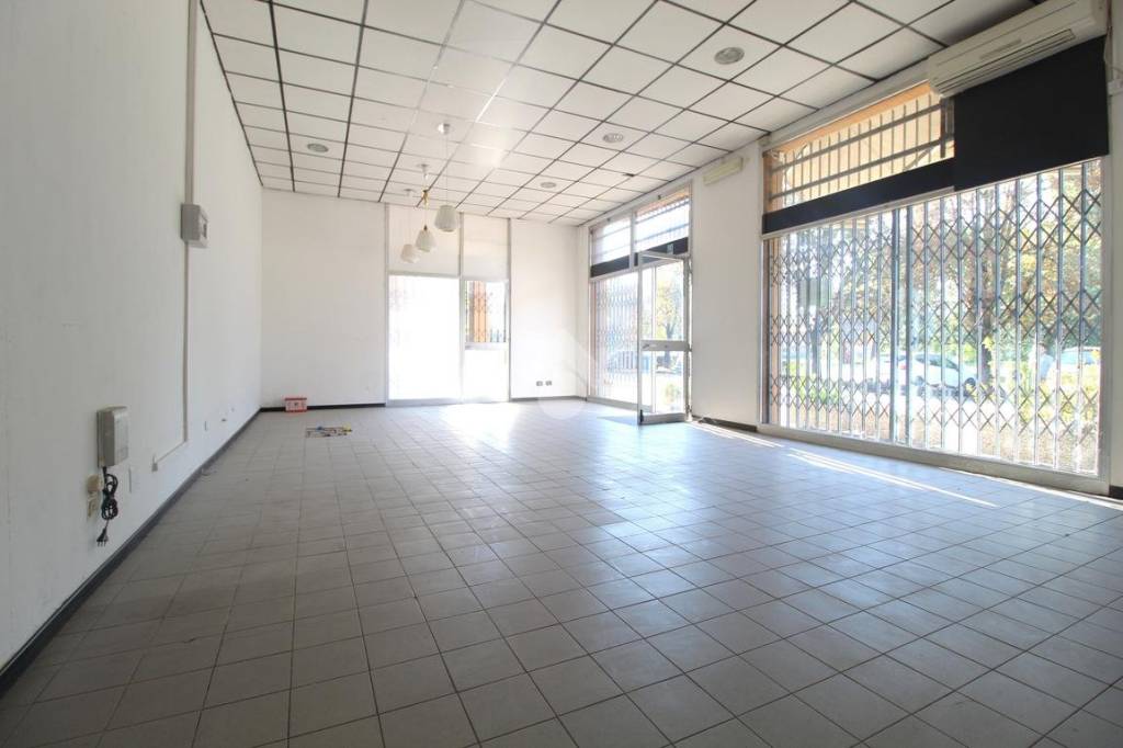 immagine annuncio 3 di 14