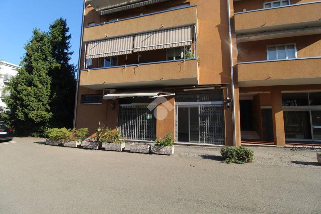 immagine annuncio 12 di 14