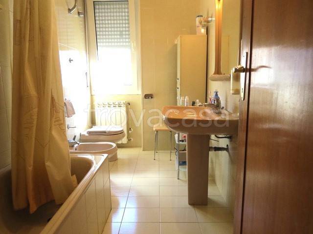 immagine annuncio 9 di 14