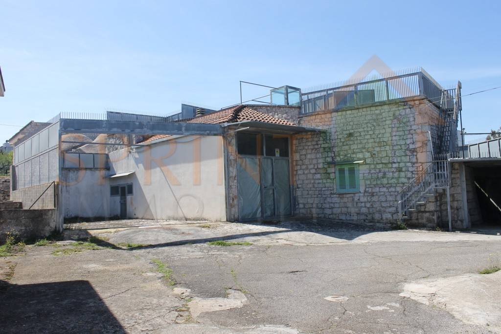immagine annuncio 10 di 14