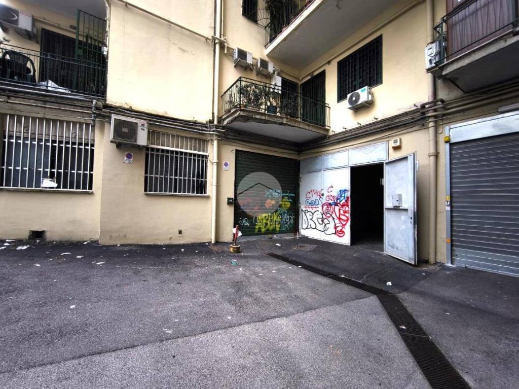 immagine annuncio 3 di 11