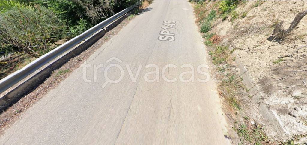 immagine annuncio 11 di 14