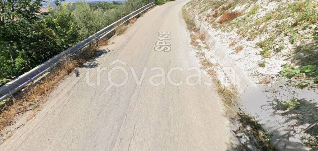 immagine annuncio 12 di 14