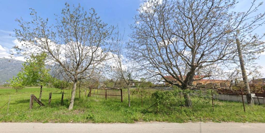 immagine annuncio 3 di 6