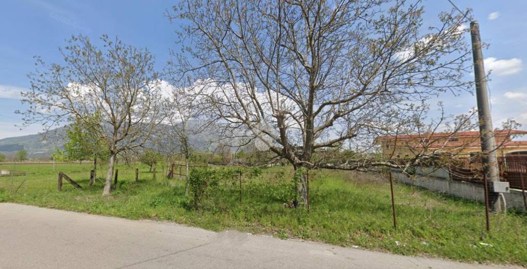 immagine annuncio 5 di 6