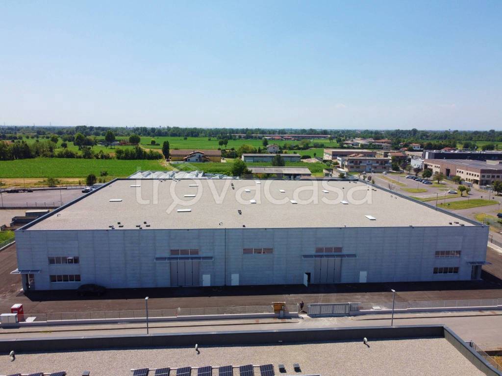 immagine annuncio 1 di 8