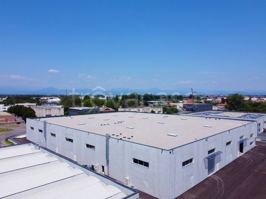 immagine annuncio 2 di 8