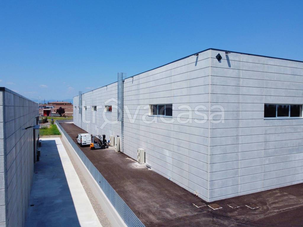 immagine annuncio 3 di 8