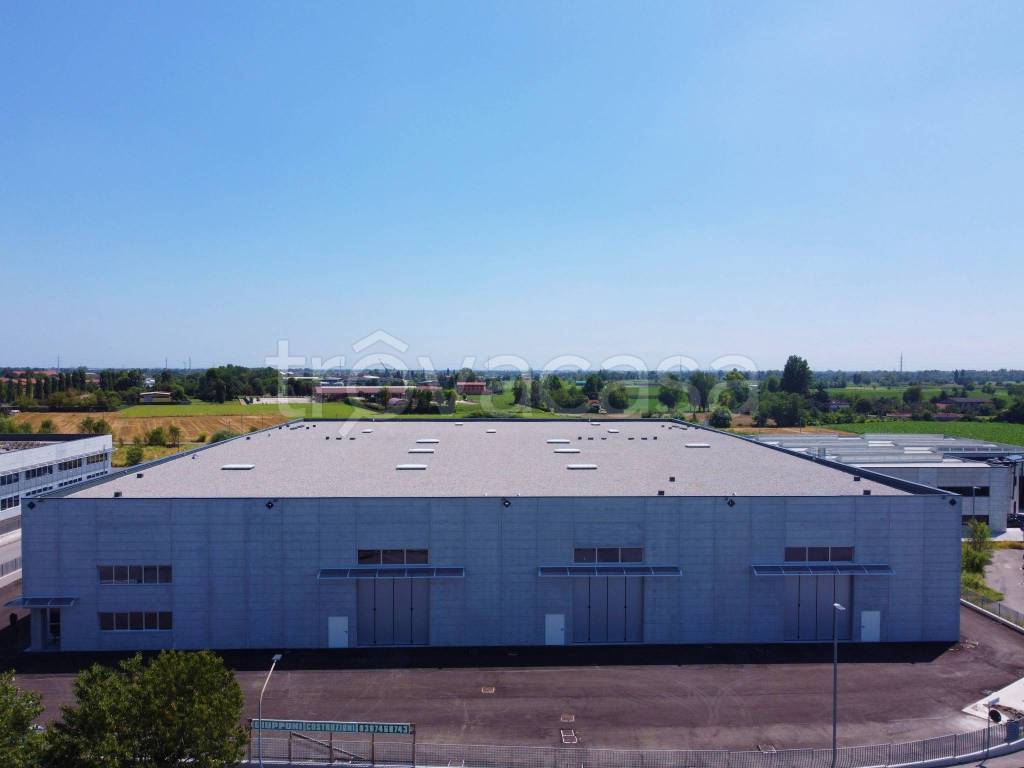 immagine annuncio 5 di 8