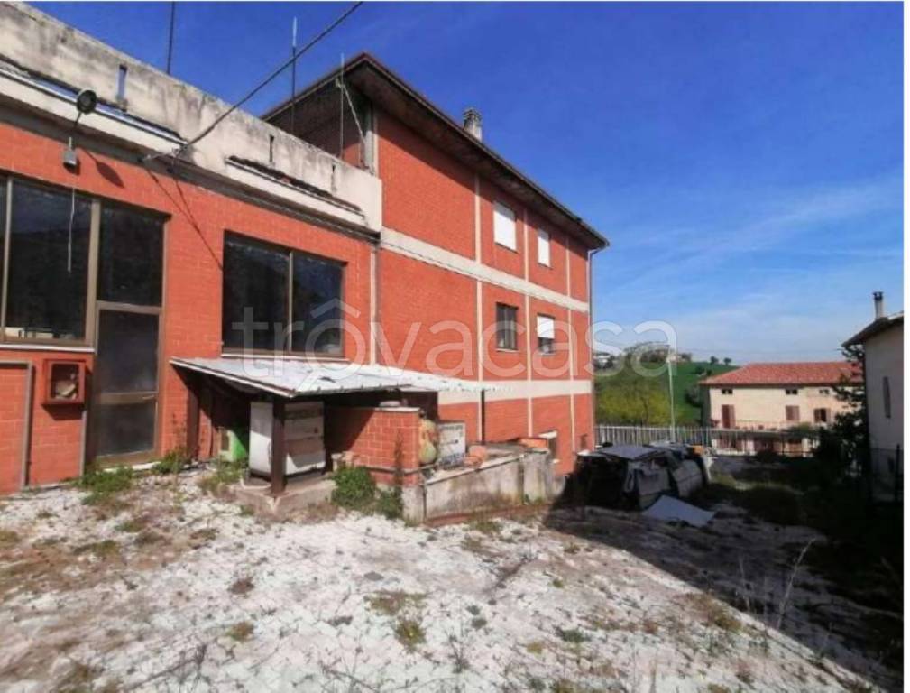 immagine annuncio 12 di 13