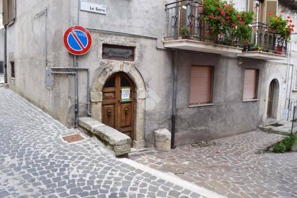 immagine annuncio 12 di 14