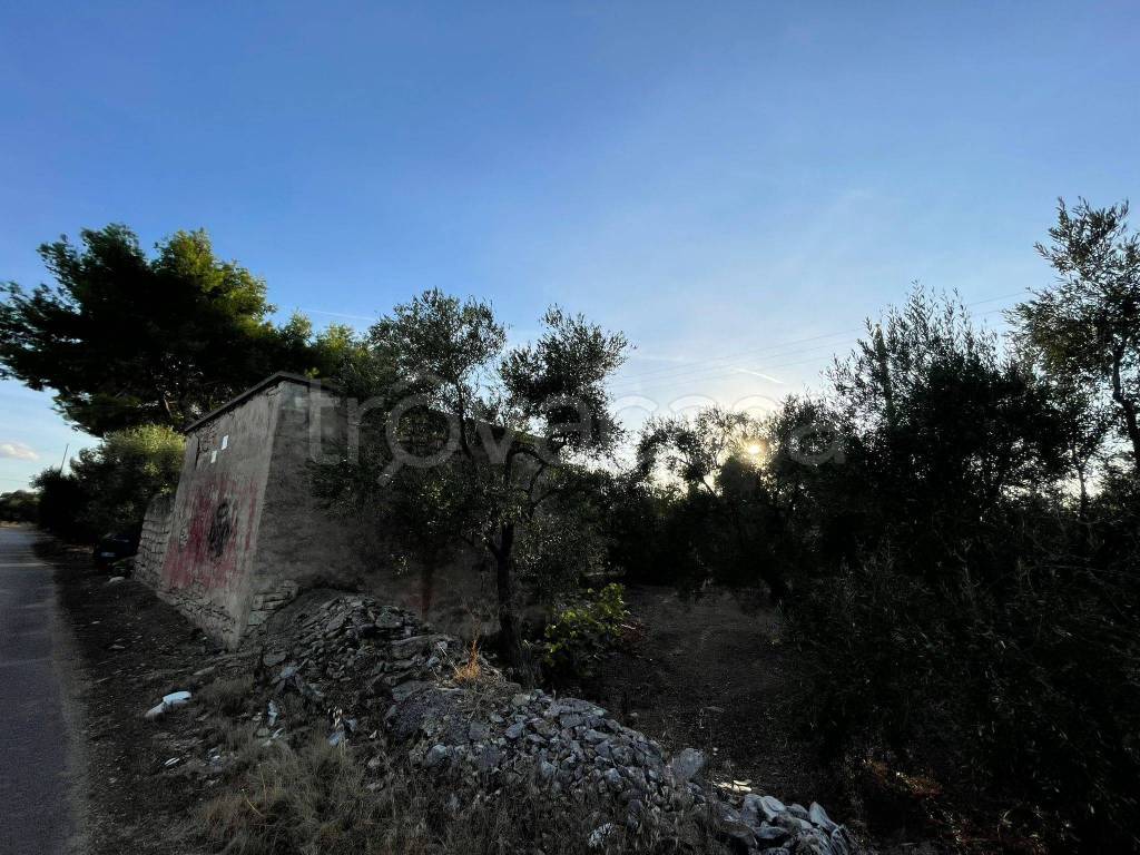 immagine annuncio 8 di 9
