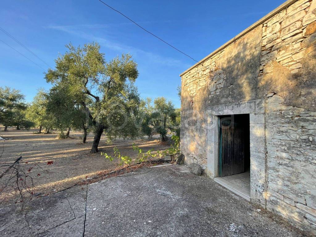 immagine annuncio 2 di 9