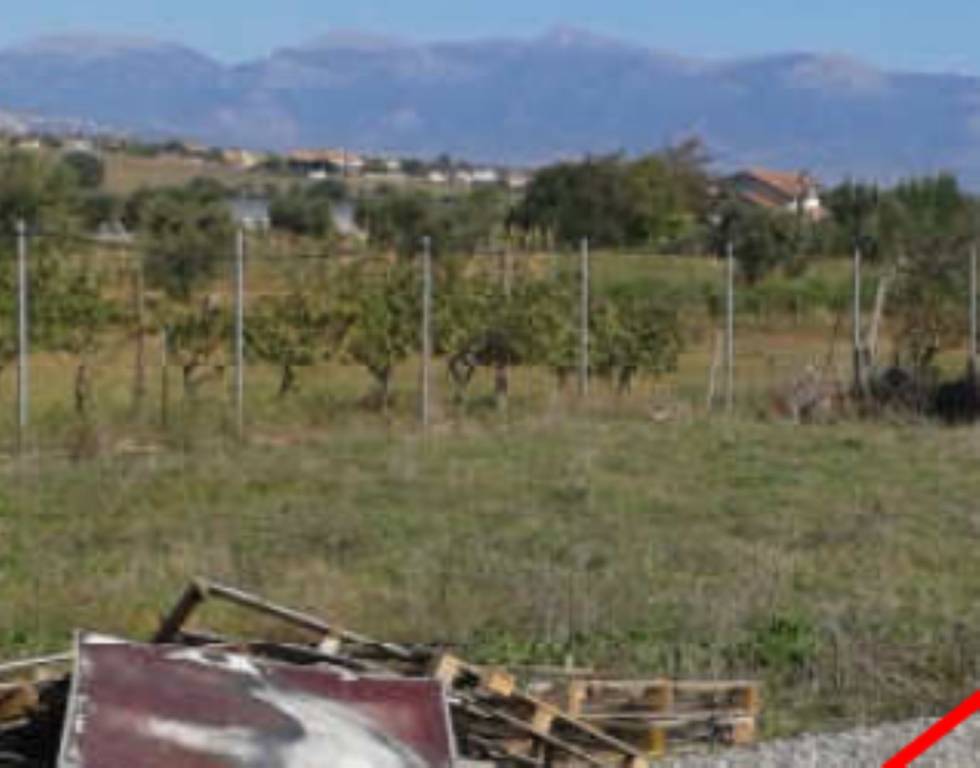 immagine annuncio 6 di 11