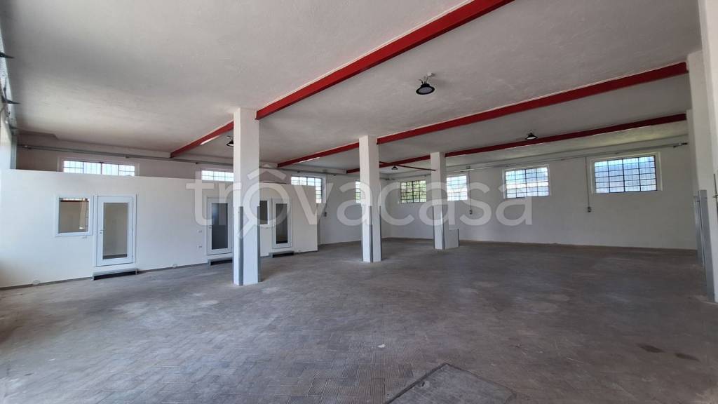 immagine annuncio 6 di 9