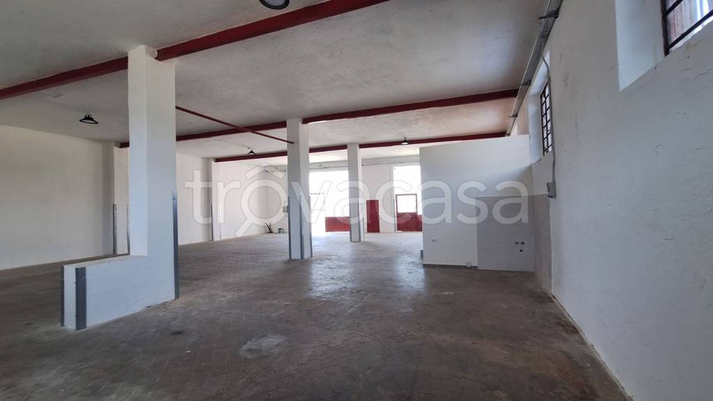 immagine annuncio 8 di 9