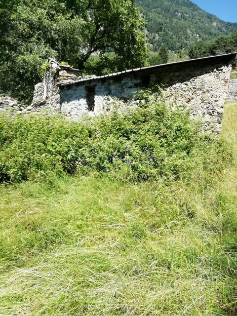 immagine annuncio 3 di 7