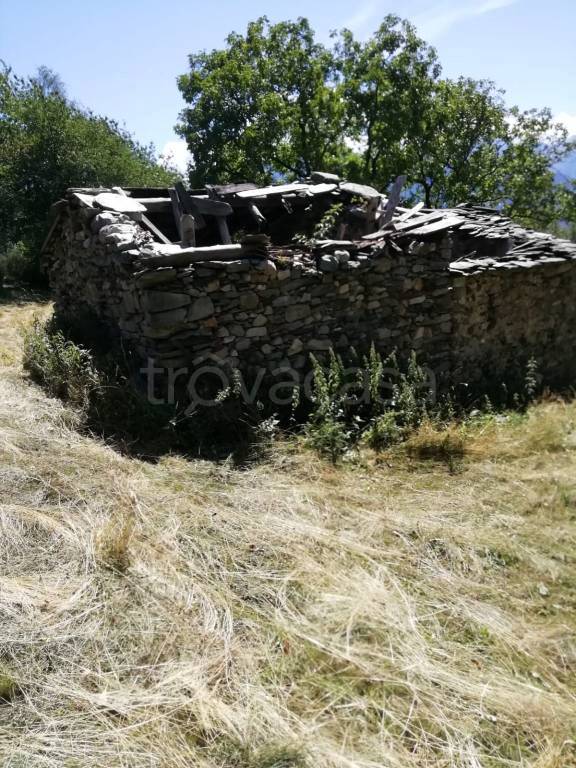 immagine annuncio 4 di 7