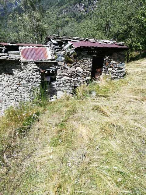 immagine annuncio 5 di 7