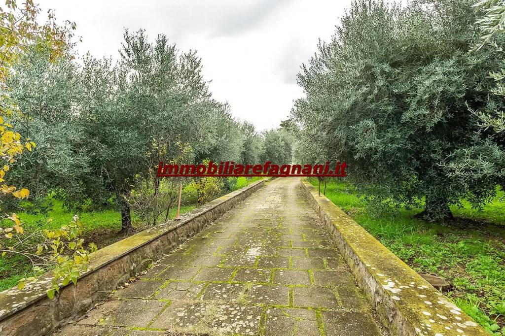 immagine annuncio 11 di 12