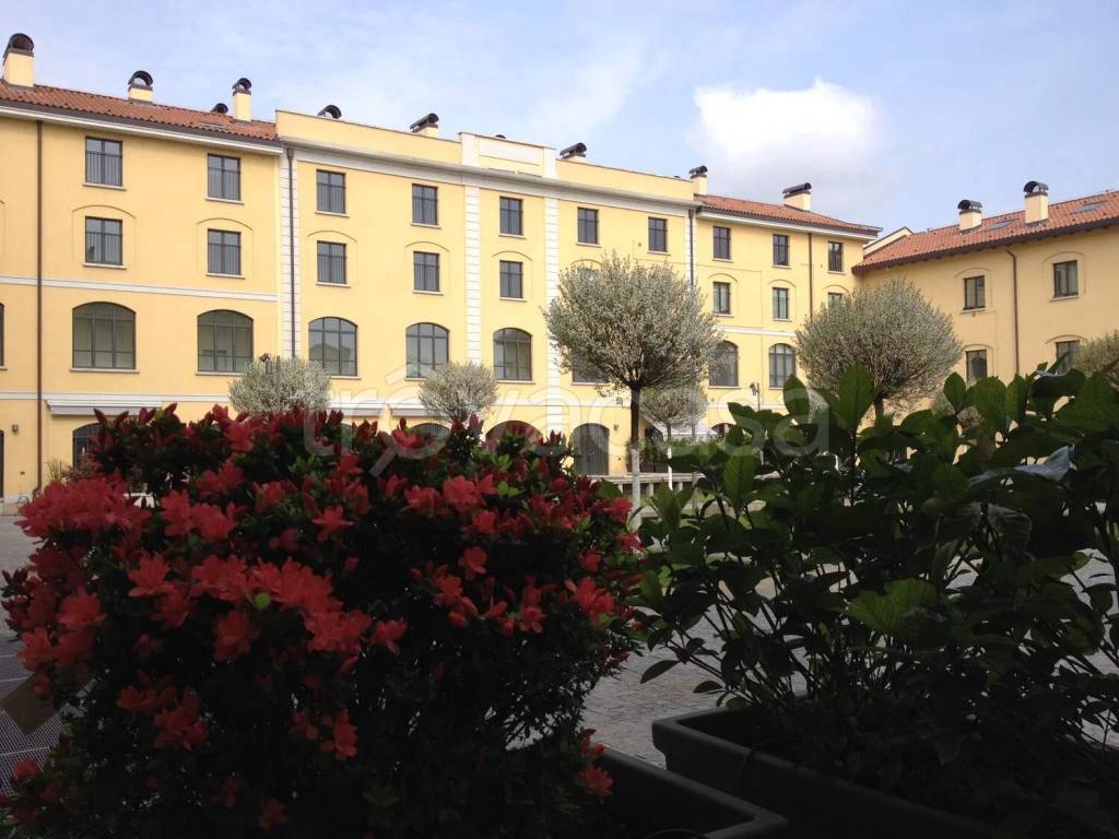 immagine annuncio 13 di 15