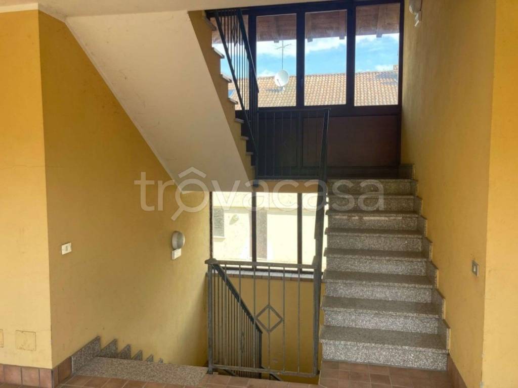 immagine annuncio 8 di 14