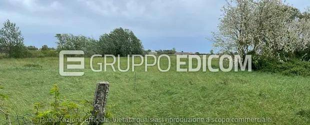 immagine annuncio 8 di 13