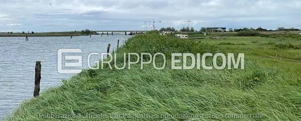 immagine annuncio 5 di 9