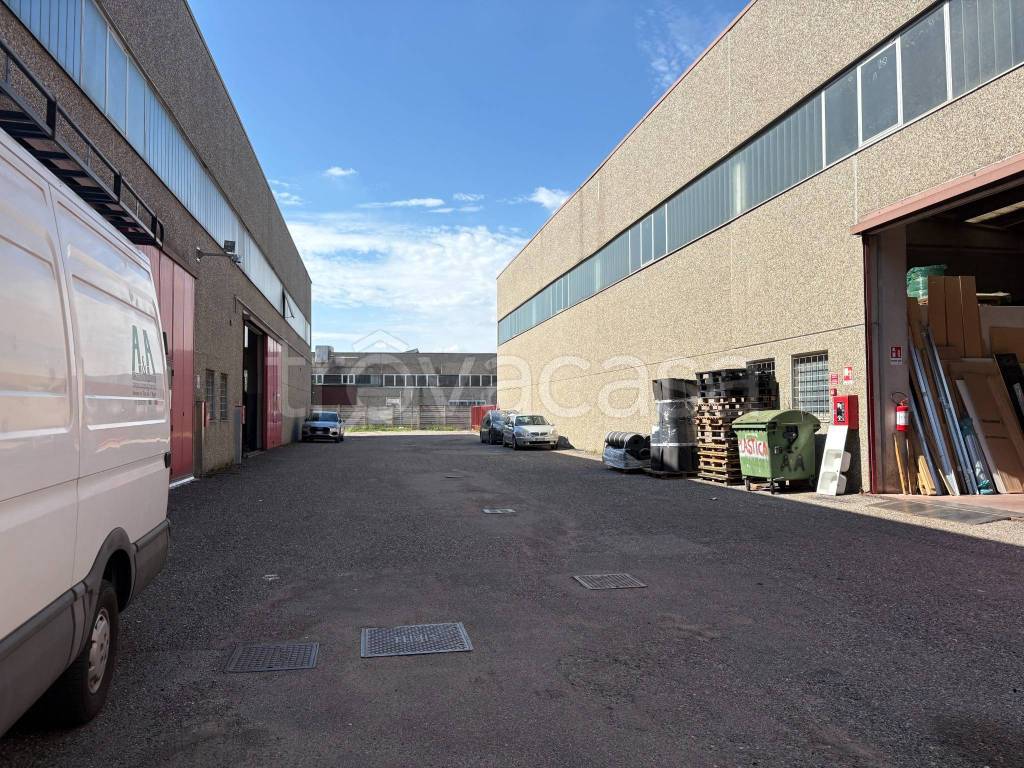 immagine annuncio 12 di 15