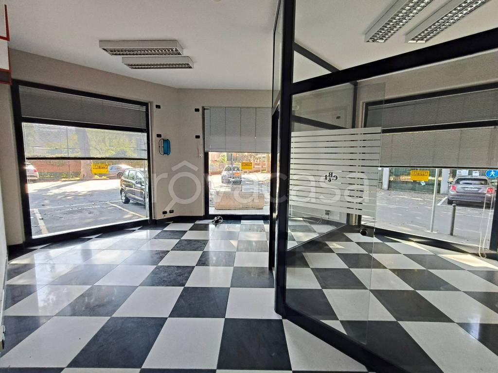 immagine annuncio 4 di 13