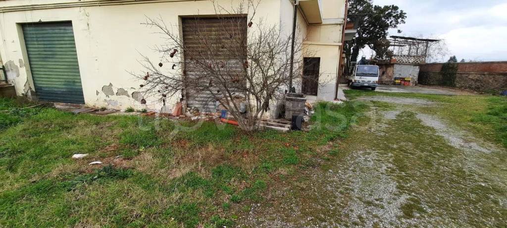 immagine annuncio 1 di 9