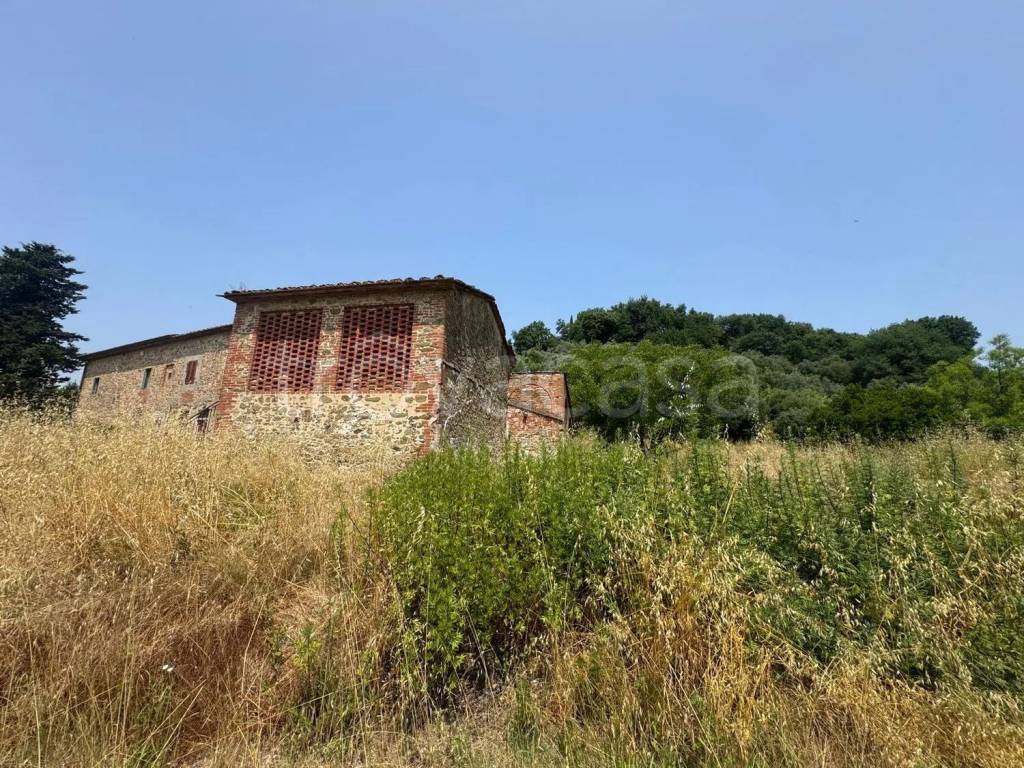 immagine annuncio 5 di 7