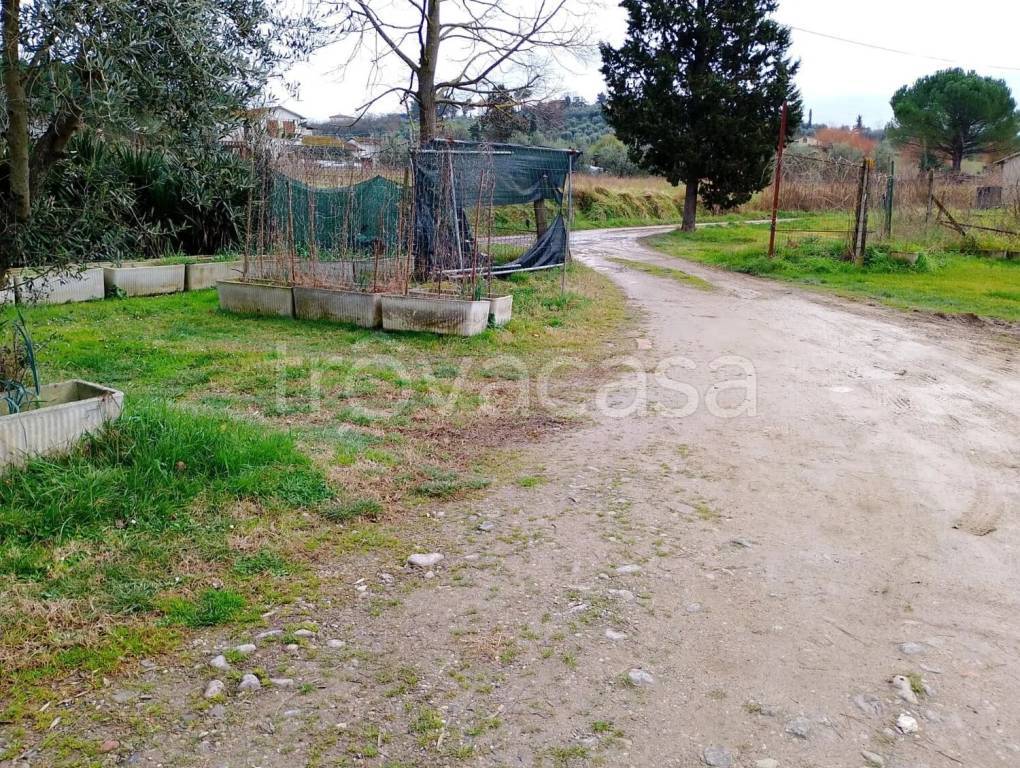 immagine annuncio 6 di 12
