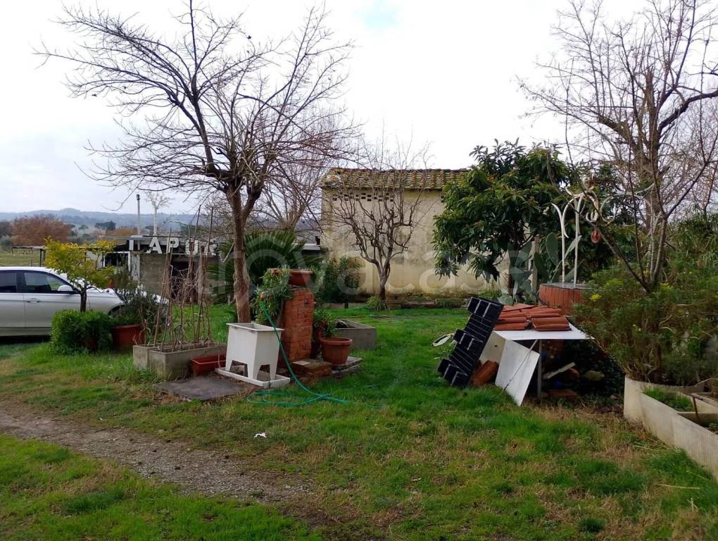 immagine annuncio 9 di 12