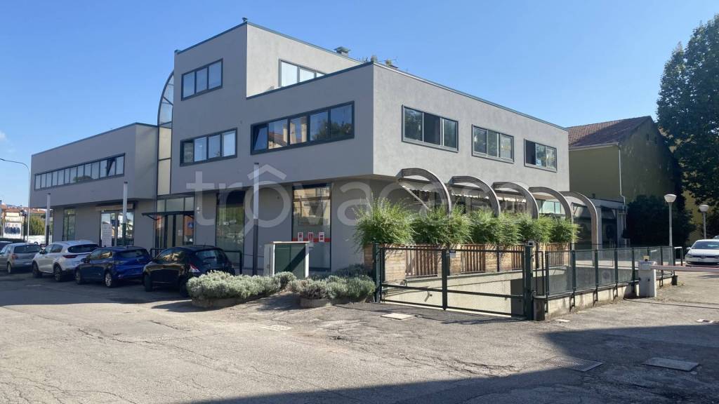 immagine annuncio 2 di 12