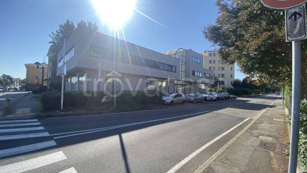 immagine annuncio 11 di 12