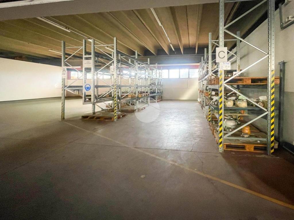 immagine annuncio 9 di 15