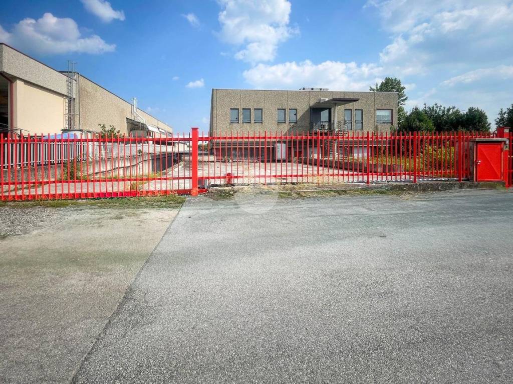 immagine annuncio 10 di 15